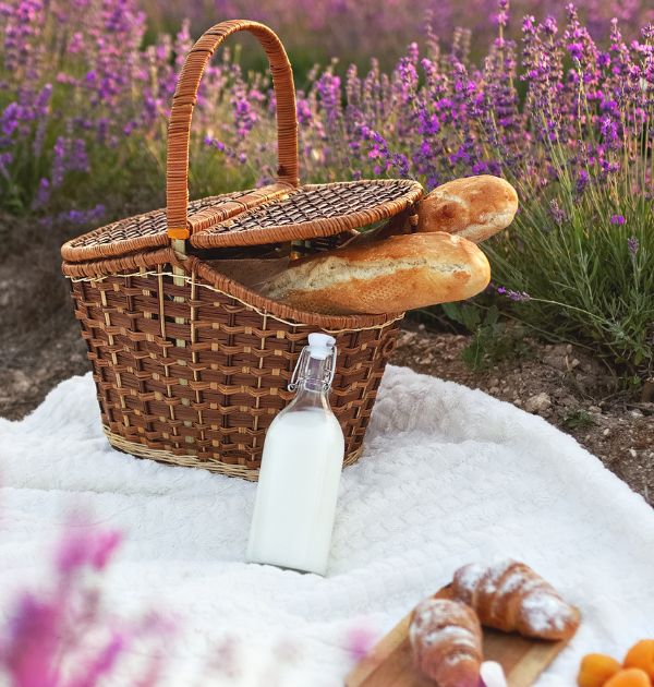 Best skincare tips for a picnic !